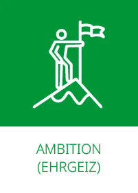 Grafische Darstellung des Wertes "Ambition"