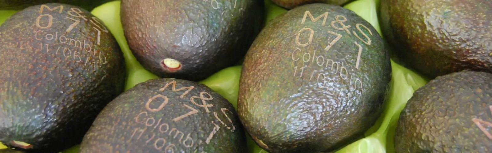 core-issues-fruit-laser-printing-mango-banner