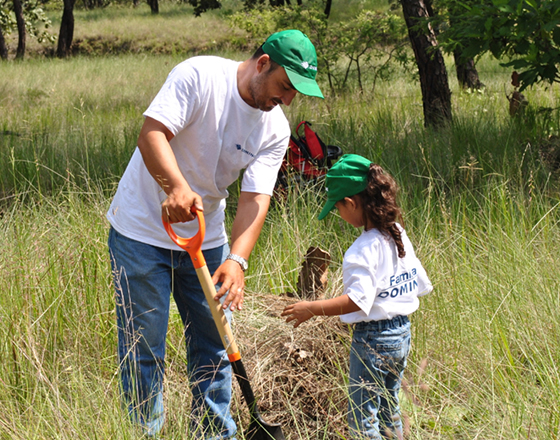 CSR-Tree-Planting-Mexico