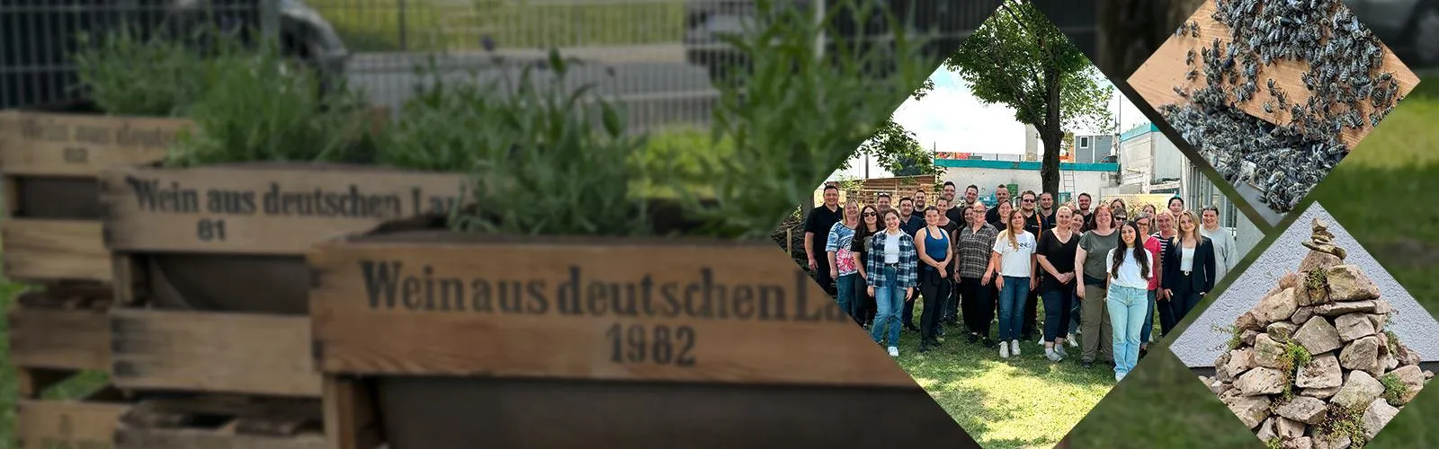 2024-DE-Bienenaktionstag Header