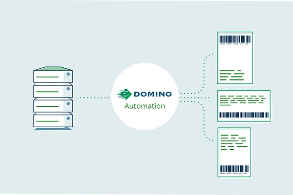 Grafische Darstellung vom Datenmanagement mit Domino Automation