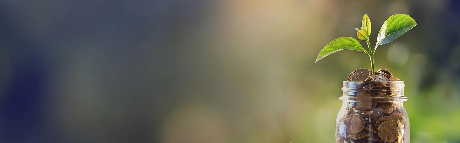 Glass Jar filled with money with a plant sprouting out of the top